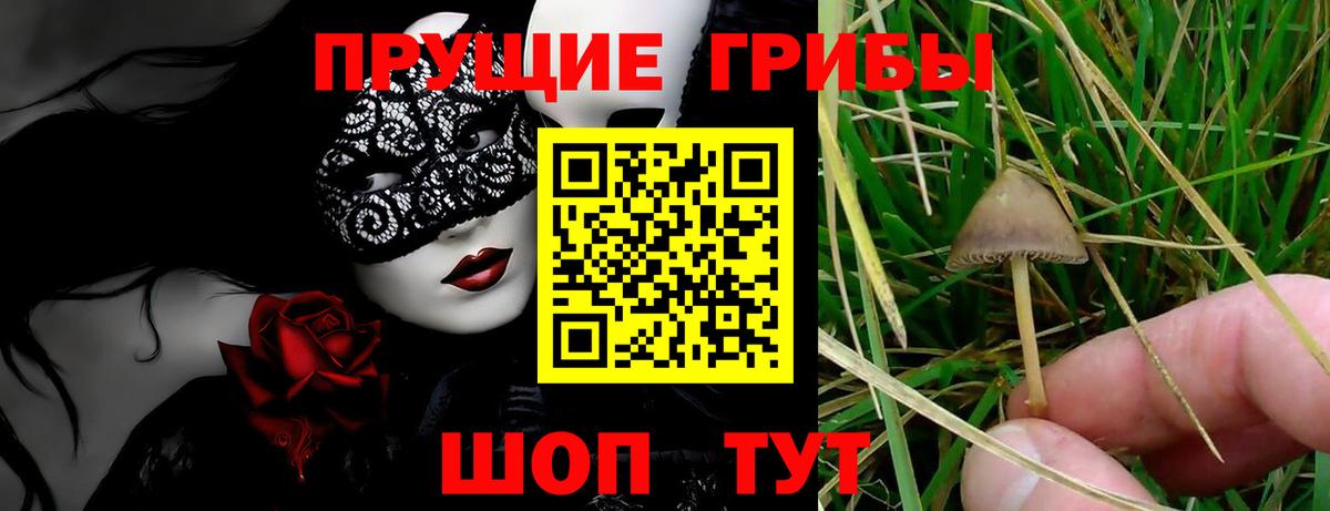 Галлюциногенные грибы мухоморы Великие Луки