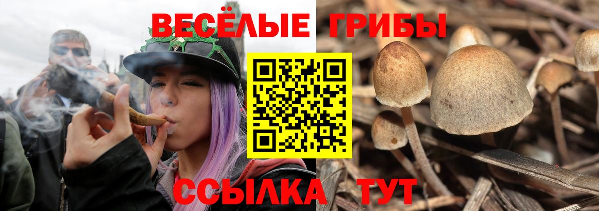 Галлюциногенные грибы прущие грибы  наркошоп  Великие Луки  Вход с VPN 